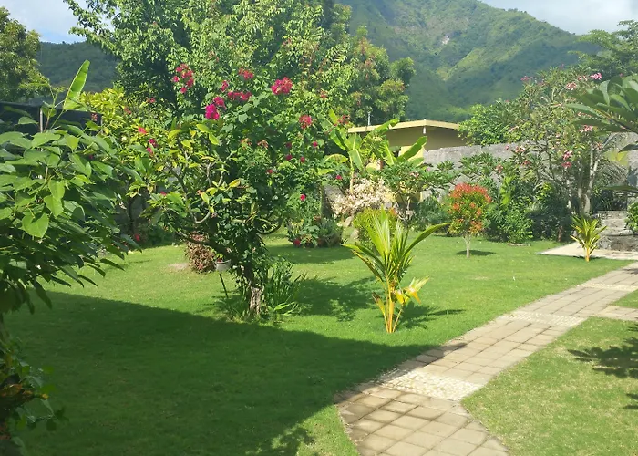 Nalini Amed (Bali)