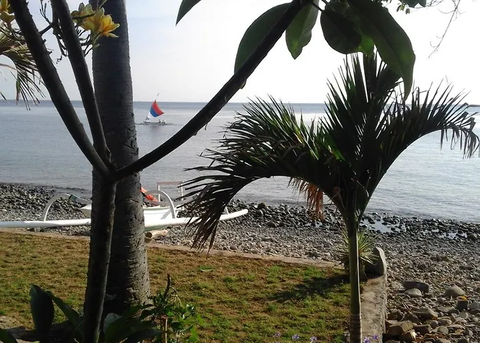 Nalini Resort 4*